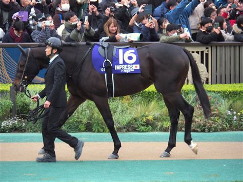 森林寶穴|2001 Japan Cup G1